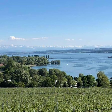 Ferienwohnung "Maisonette Unter Der Burg" Meersburg Dış mekan fotoğraf